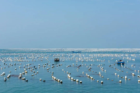 海水水产养殖废水处理方法|工艺流程|排放标准